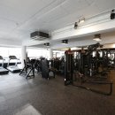 팀히트짐 이미지