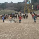 더마파크 공연장 이미지