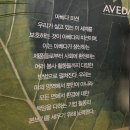 반트 by 시마헤어