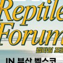 렙타일숲