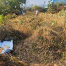 불은면-3 이미지