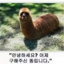 경기도 수원시 장안구 장안로 장안로458번길 이미지