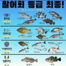 인천 락 실내바다낚시터 | [인천] 인천락실내바다낚시터