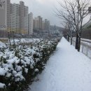 황금어장 Daum카페
