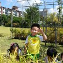 상일농장 이미지