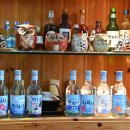 다미회 | 제주 가성비 횟집 다미회 남편이랑 다녀온 제주도 맛집 후기