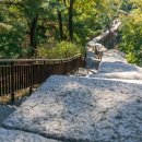 푸른빌딩 이미지