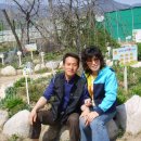 연정(신녕) 이미지