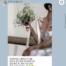 벨뷰 | 전주 아이폰스냅 벨뷰스냅 계약후기✨