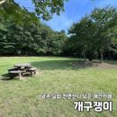 People&Dog(피플앤독) | ​[반려동물/여행] 댕댕이 텐션 폭발! 마음껏 뛰어노는 전국 대형 애견카페 &amp; 운동장 BEST 4