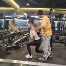 페르소나 피티 이미지