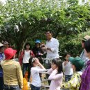 각화초교 이미지