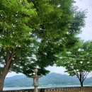 솔잎펜션 2 이미지