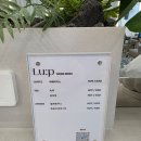 효림 | 야탑 미용실 룹헤어에서 르미네상스 클리닉 받고 만족한 후기(효림실장님)