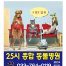 25시종합동물병원 이미지