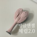 엔젤초이스 | 엉킨 머리빗 탱글엔젤 체럽 vs 프로 브러쉬 비교 추천 후기