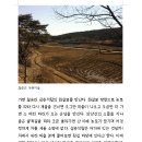 수정천 이미지
