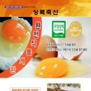 상록축산 이미지