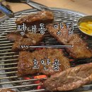 호만골 이미지