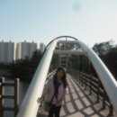 복지과일촌