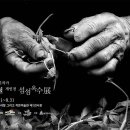 섬섬옥수 - 군포시 군포로456번길 27-1 | 섬섬옥수