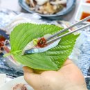 24시회센타 이미지