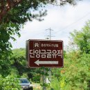 충북 단양 제천 여행 아이랑 가볼만한곳 :: 도담정원, 금굴구석기유적지, 옥순봉 출렁다리, 청풍호유람선 이미지