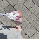 영복슈퍼 이미지