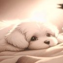 만성365약국 이미지