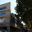 골드참치 이미지