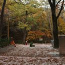 치인야영장 화장실 이미지