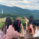 채림목장 이미지