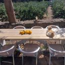 저지1521 이미지