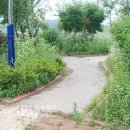 바이크탐방로 이미지