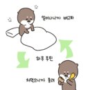 [취준] 6번째, 데이터 사이언티스트 구직 방법 노하우