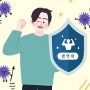 요가의미