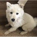 쌍미천로 이미지