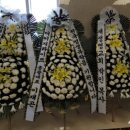 프리덤라이프 이미지