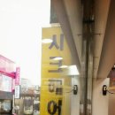 신촌미용실 시크헤어 예약 이벤트 후기