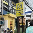 몽키샵 | 보홀 기념품 쇼핑 몽키트리 가격 상세 후기 (기념품샵 추천)