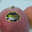 브리지팜 이미지