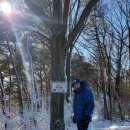 한남금북정맥5구간 이미지