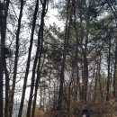 신승공업사 이미지