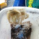 피싱1번지 이미지