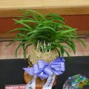 노은1동주민센터 이미지