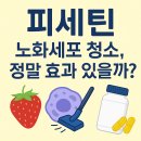 피세틴, 노화세포 청소에 효과 있을까? 복용법과 추천제품까지