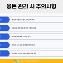 이레네 티스토리