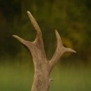 윤상현한의원 이미지