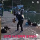 늑도방파제 이미지