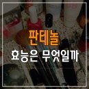 고포잇짐 이미지